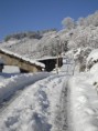 /album/fotogaleria/subida-de-llinares-jpg/